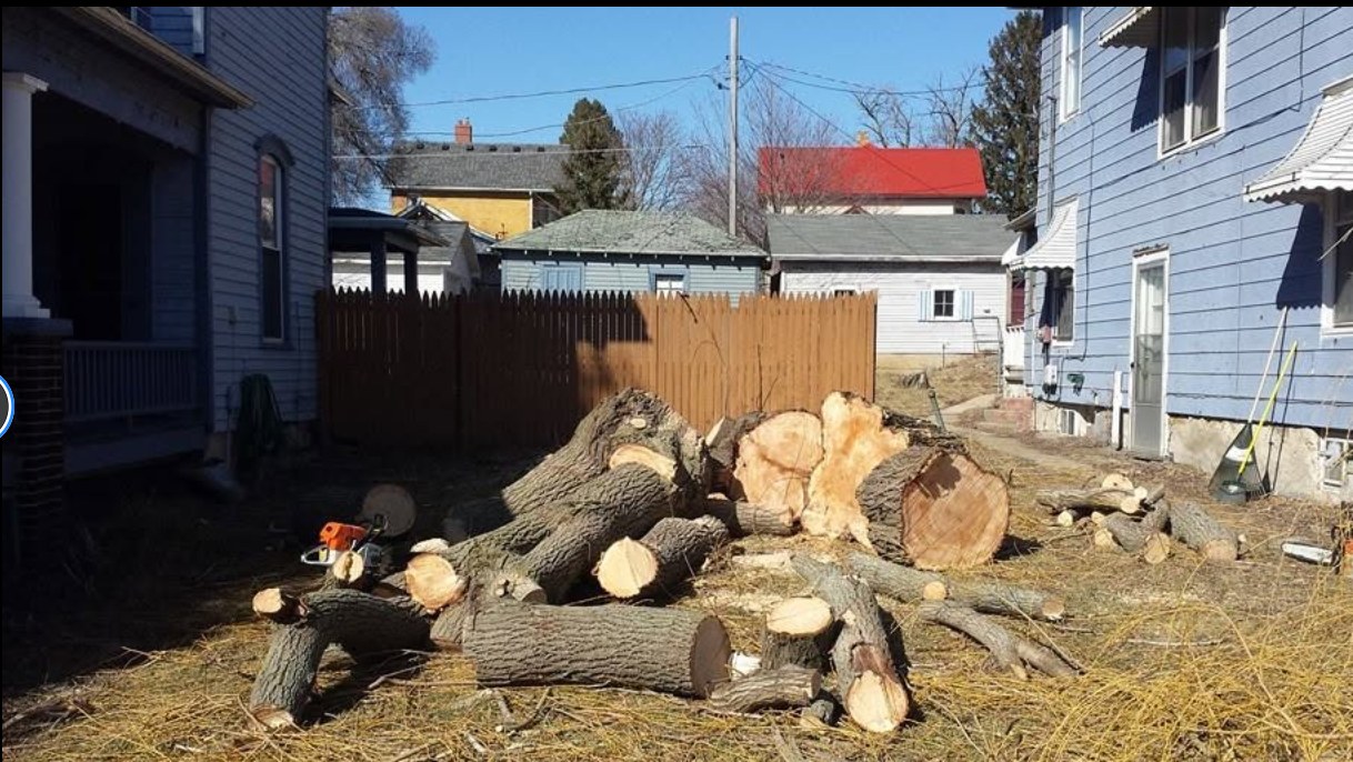 Large tree sections after a residential removal